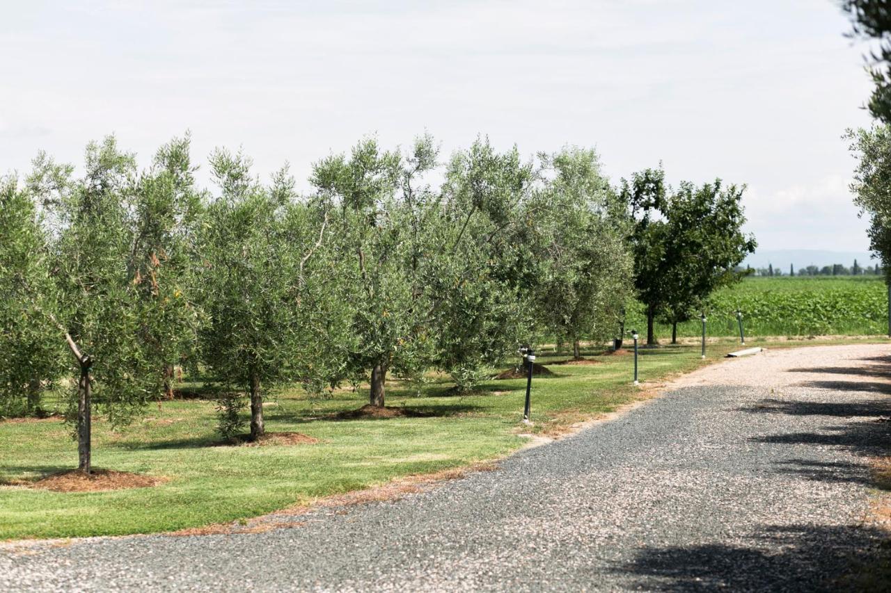 Agriturismo Valdo غروسيتو المظهر الخارجي الصورة
