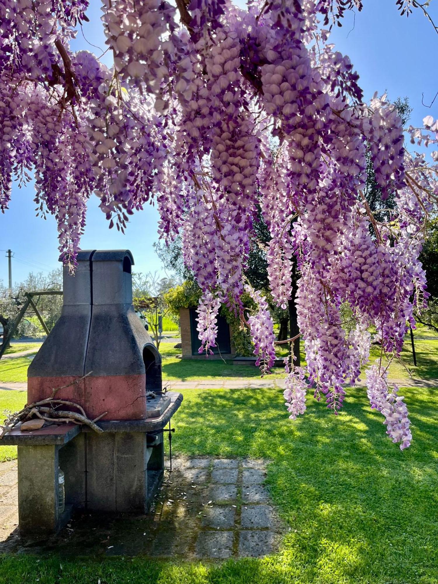 Agriturismo Valdo غروسيتو المظهر الخارجي الصورة