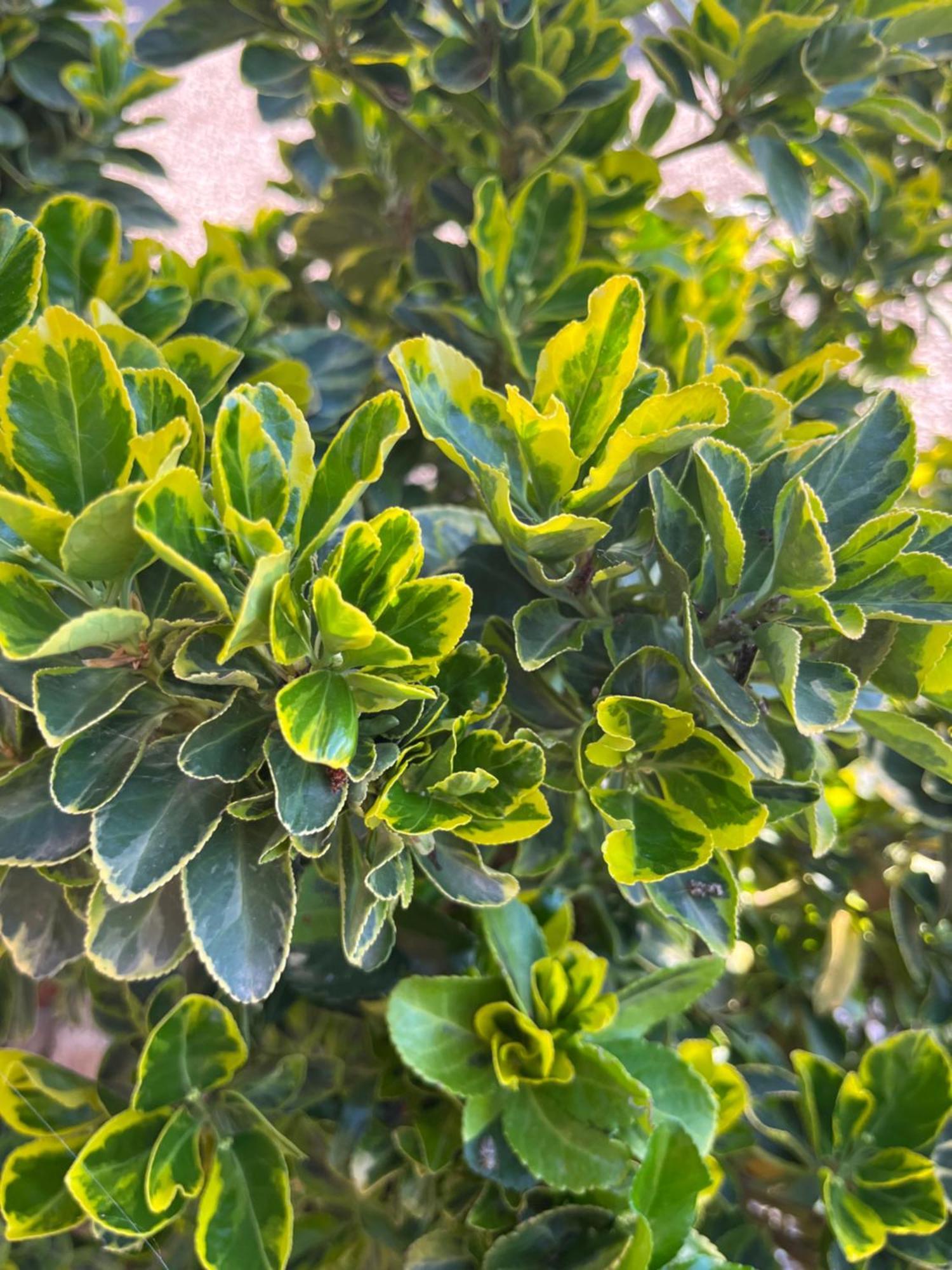 Agriturismo Valdo غروسيتو المظهر الخارجي الصورة