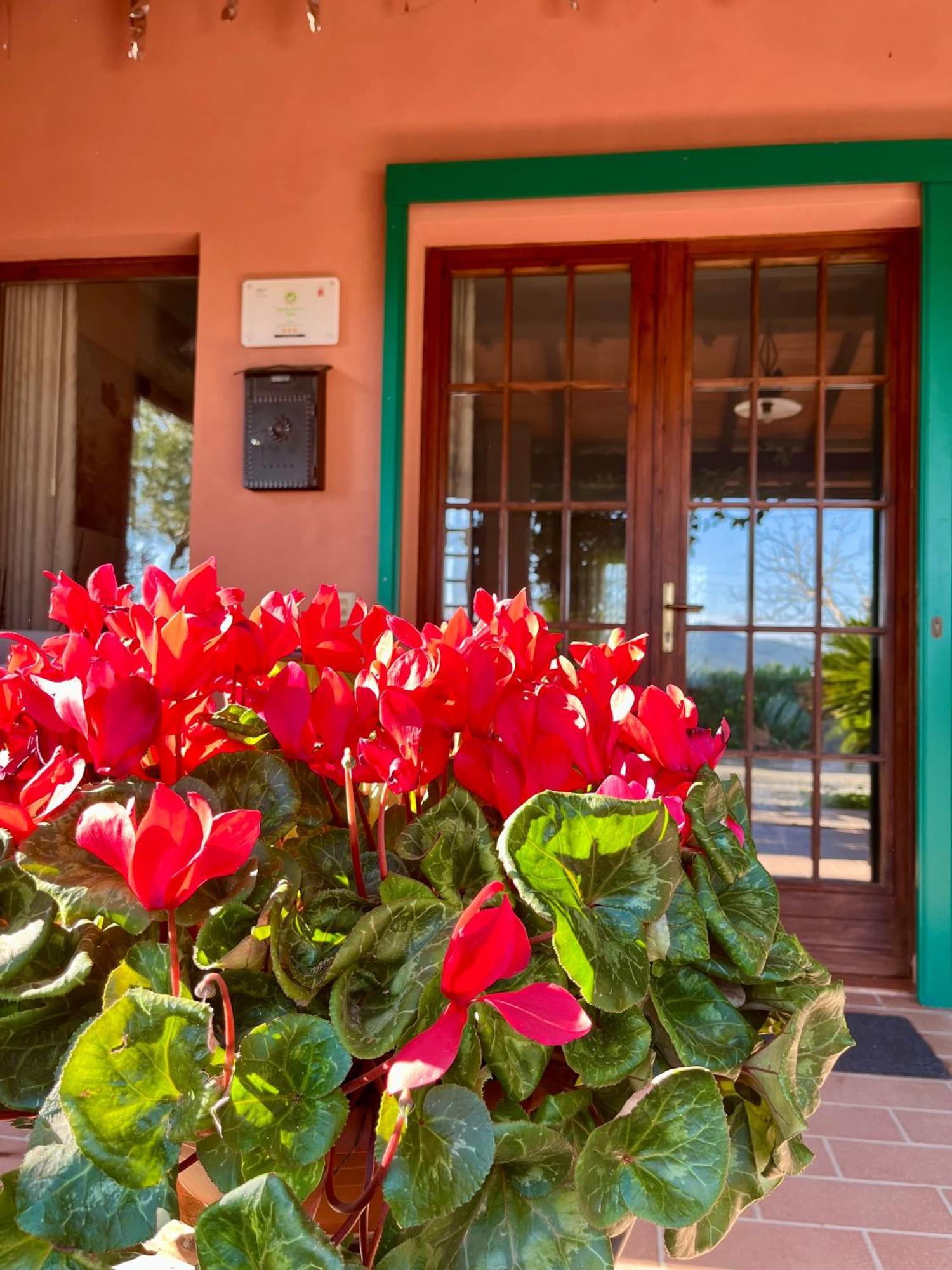 Agriturismo Valdo غروسيتو المظهر الخارجي الصورة
