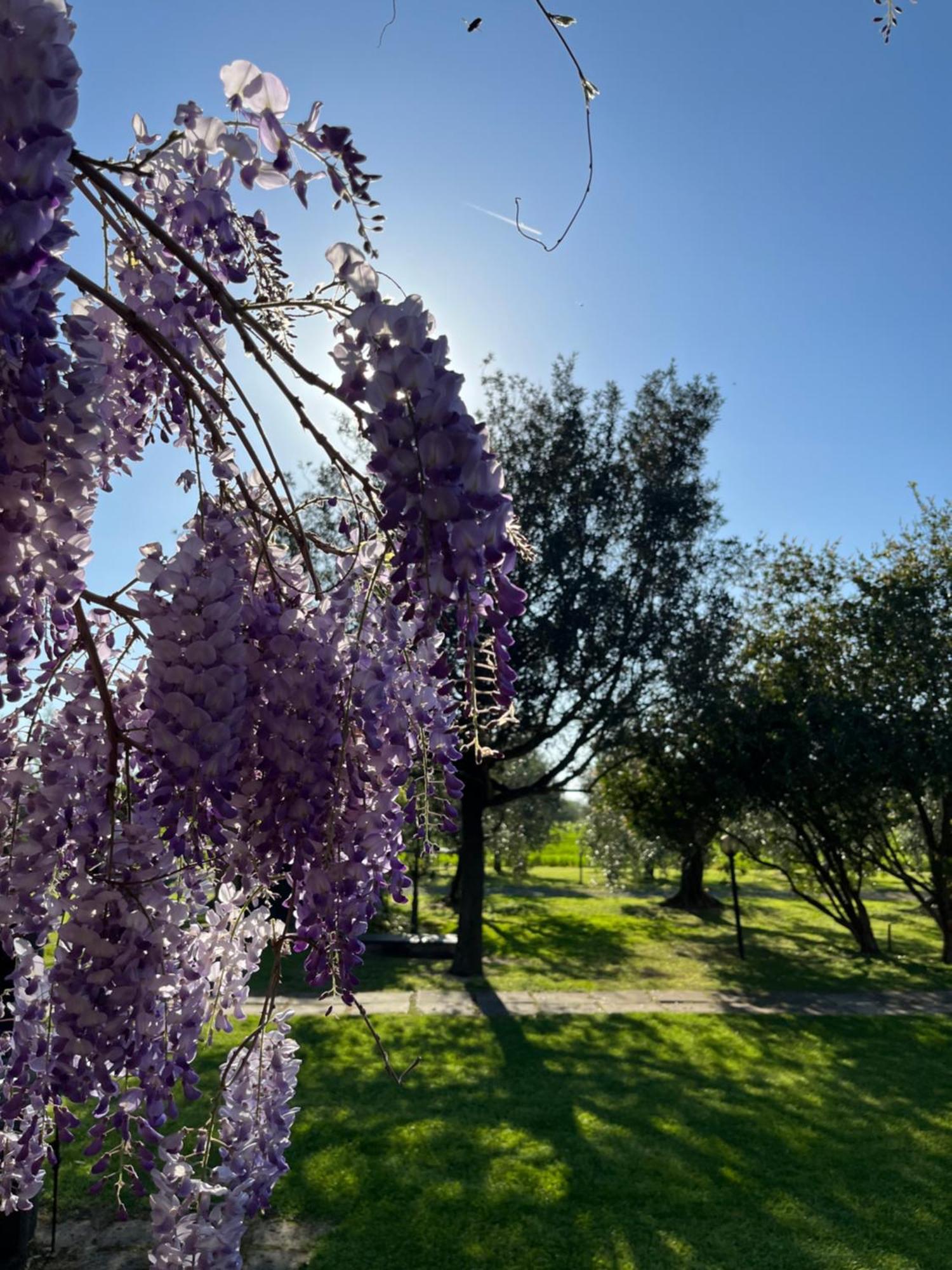 Agriturismo Valdo غروسيتو المظهر الخارجي الصورة