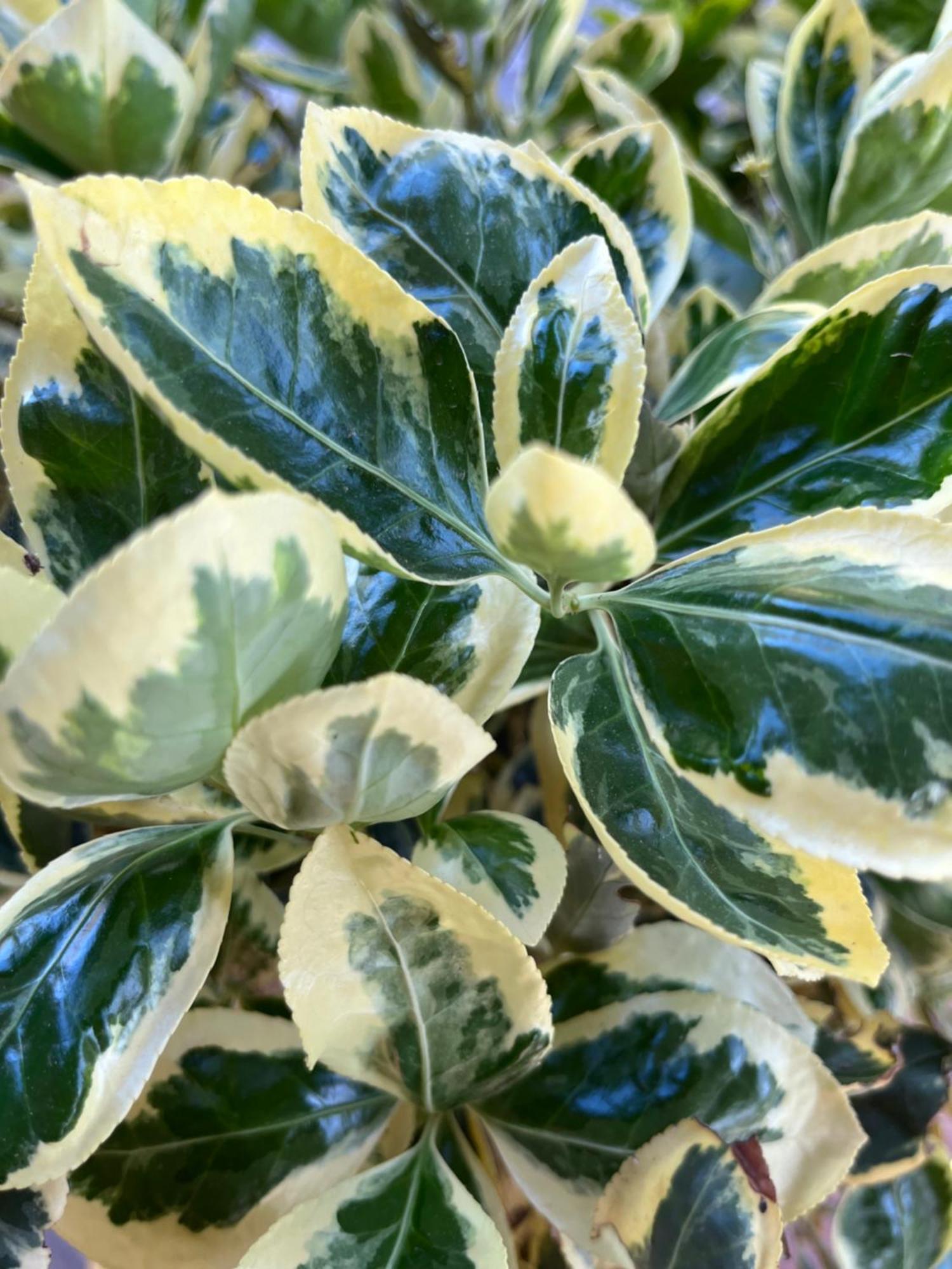 Agriturismo Valdo غروسيتو المظهر الخارجي الصورة