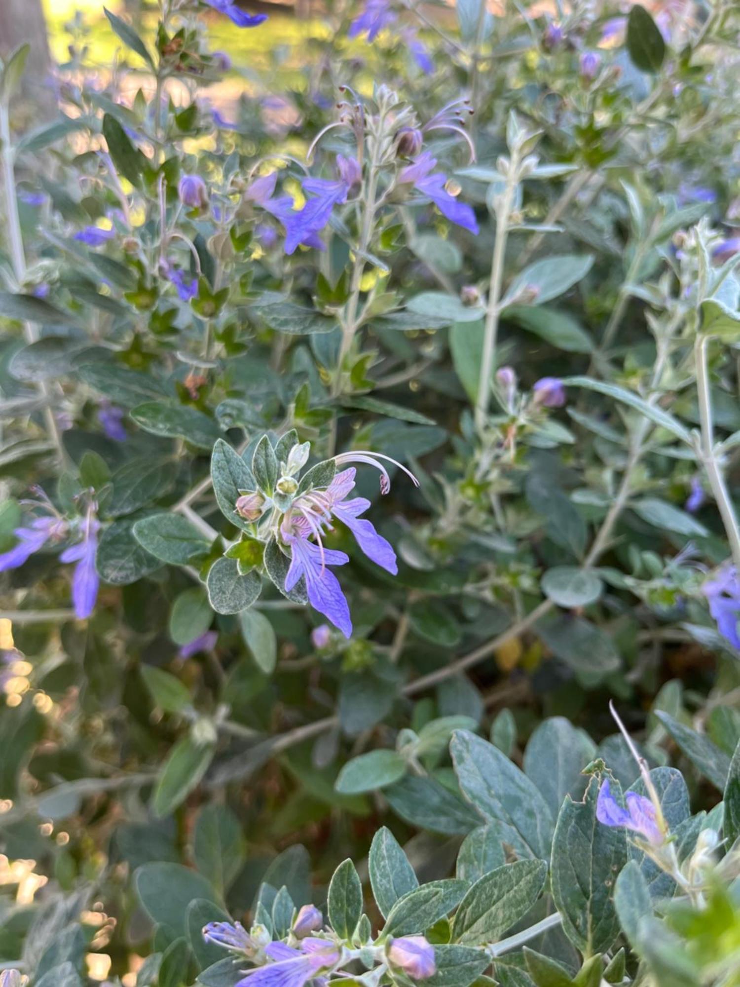 Agriturismo Valdo غروسيتو المظهر الخارجي الصورة